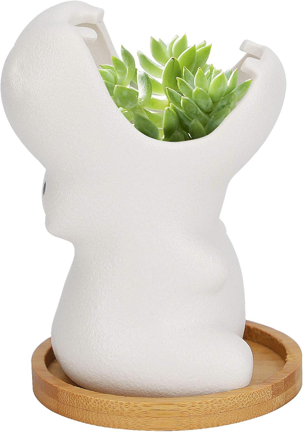 9,5 cm Białe ceramiczne doniczki, doniczki na sukulenty, mini doniczki hipopotamy, ceramiczne doniczki dekoracyjne.