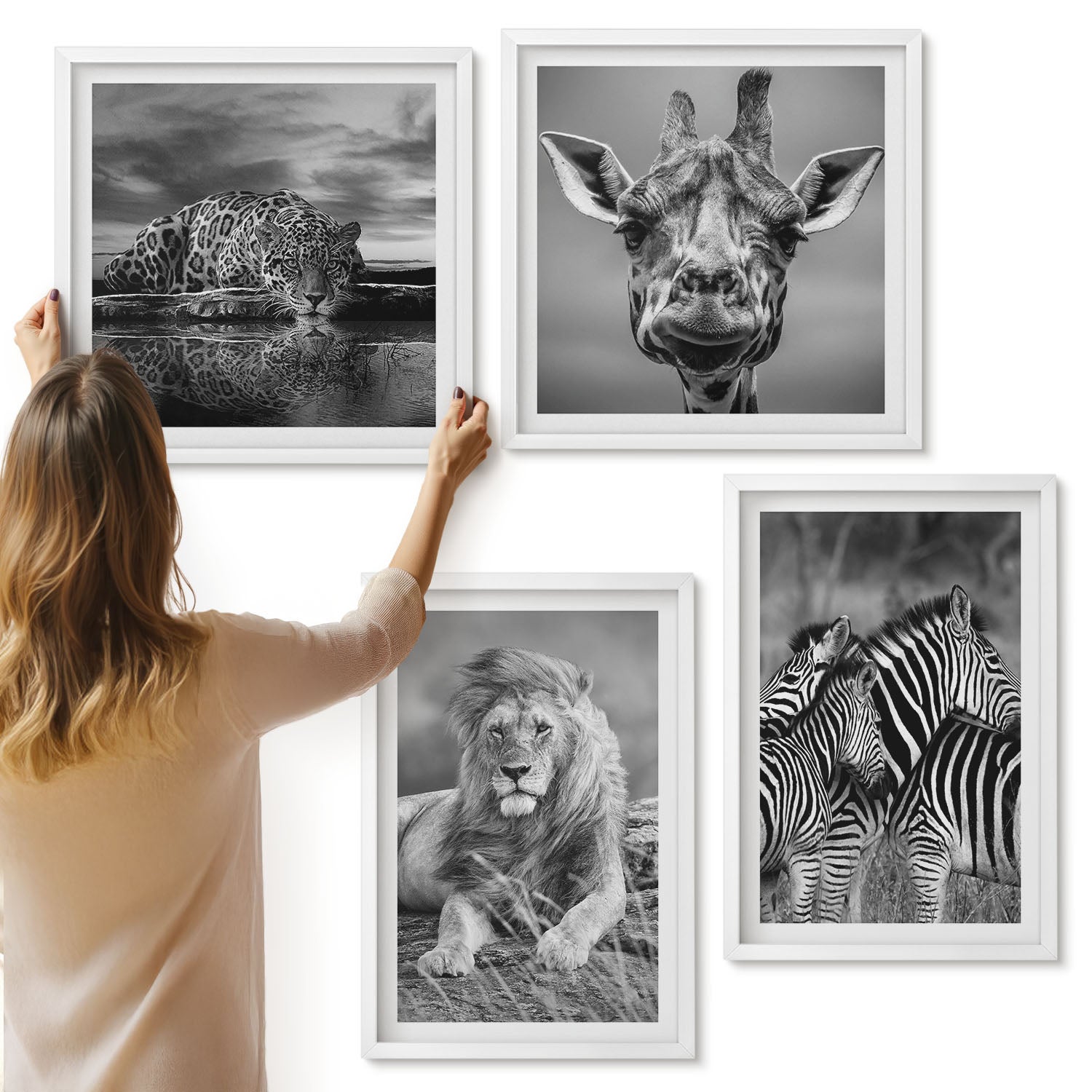 Galeria ścienna 4-częściowy komplet obrazów w białych ramach - Dzikie zwierzęta lew jaguar żyrafa i zebry - ArtPrintCave