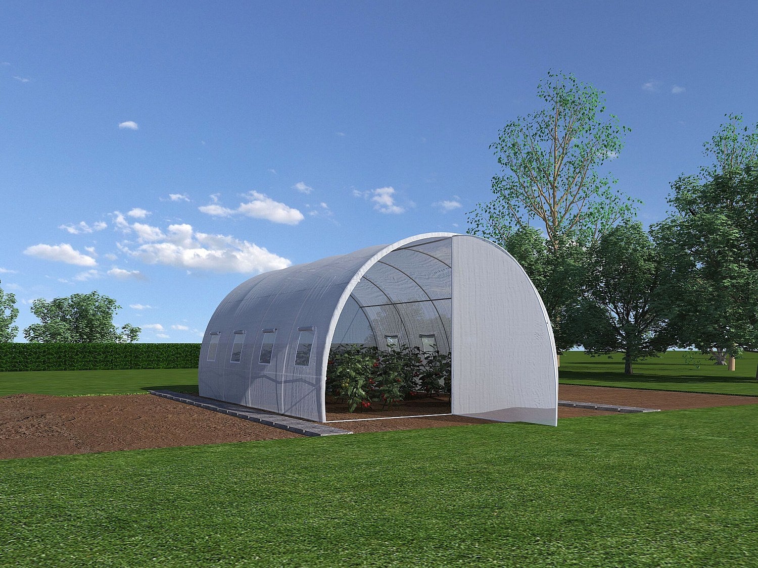 Szklarnia tunelowa o stalowej konstrukcji z drzwiami 12 m² - dł. 400 x szer. 300 x wys. 200 cm - ALOCASIA