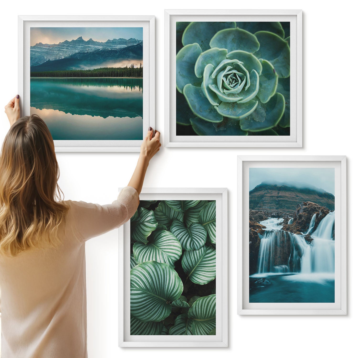 Galeria ścienna 4-częściowy komplet obrazów w białych ramach - Zbliżenia na rośliny liście sukulenty - ArtPrintCave