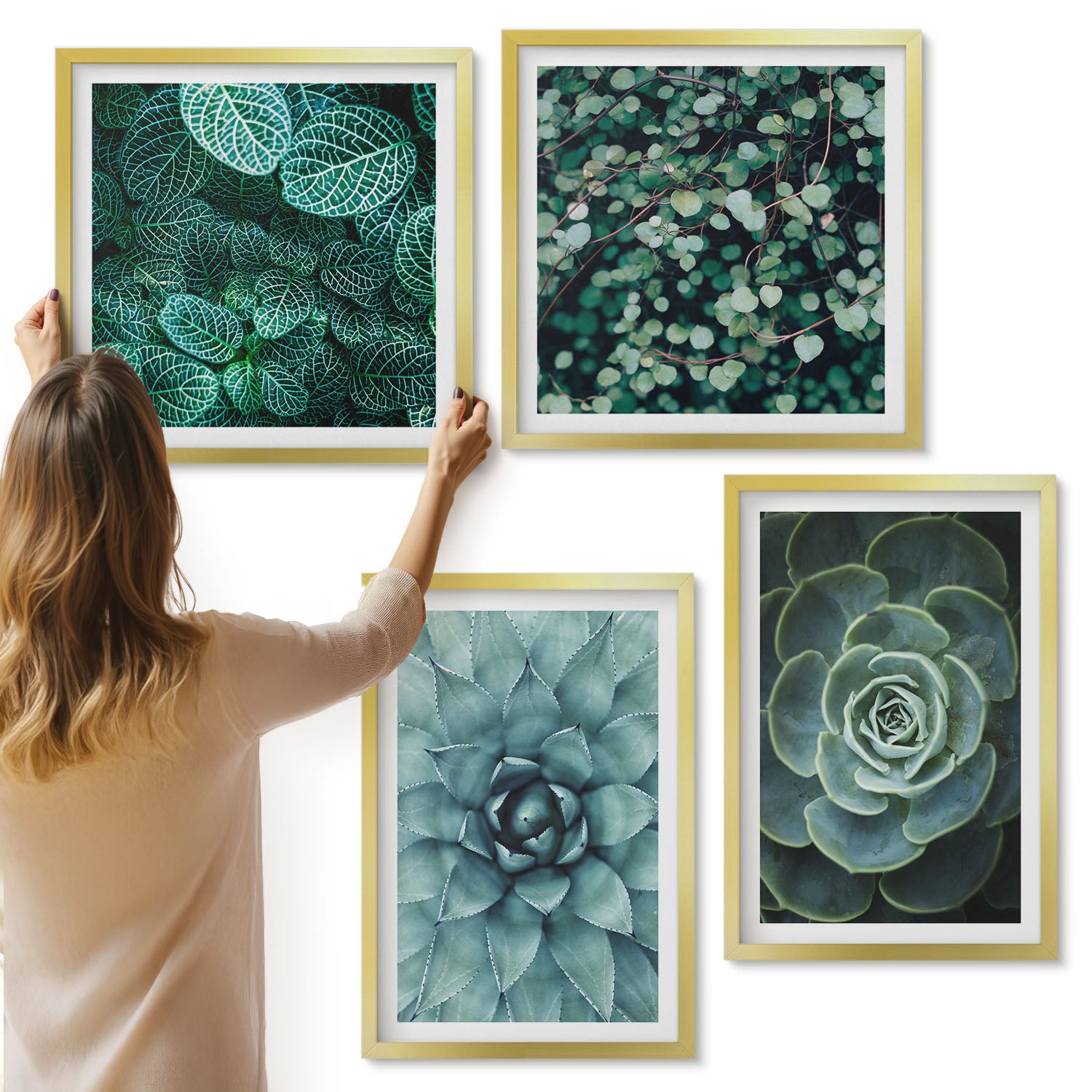 Galeria ścienna 4-częściowy komplet obrazów w złotych ramach - Rośliny sukulentowe w odcieniach zieleni i turkusu - ArtPrintCave