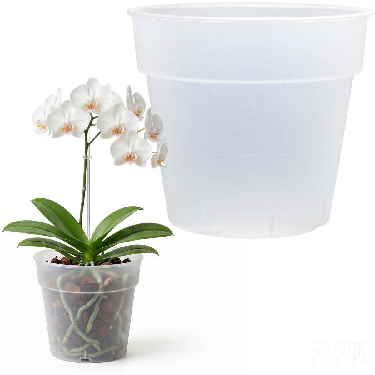 Doniczka do storczyka Planti transparentny 16 cm