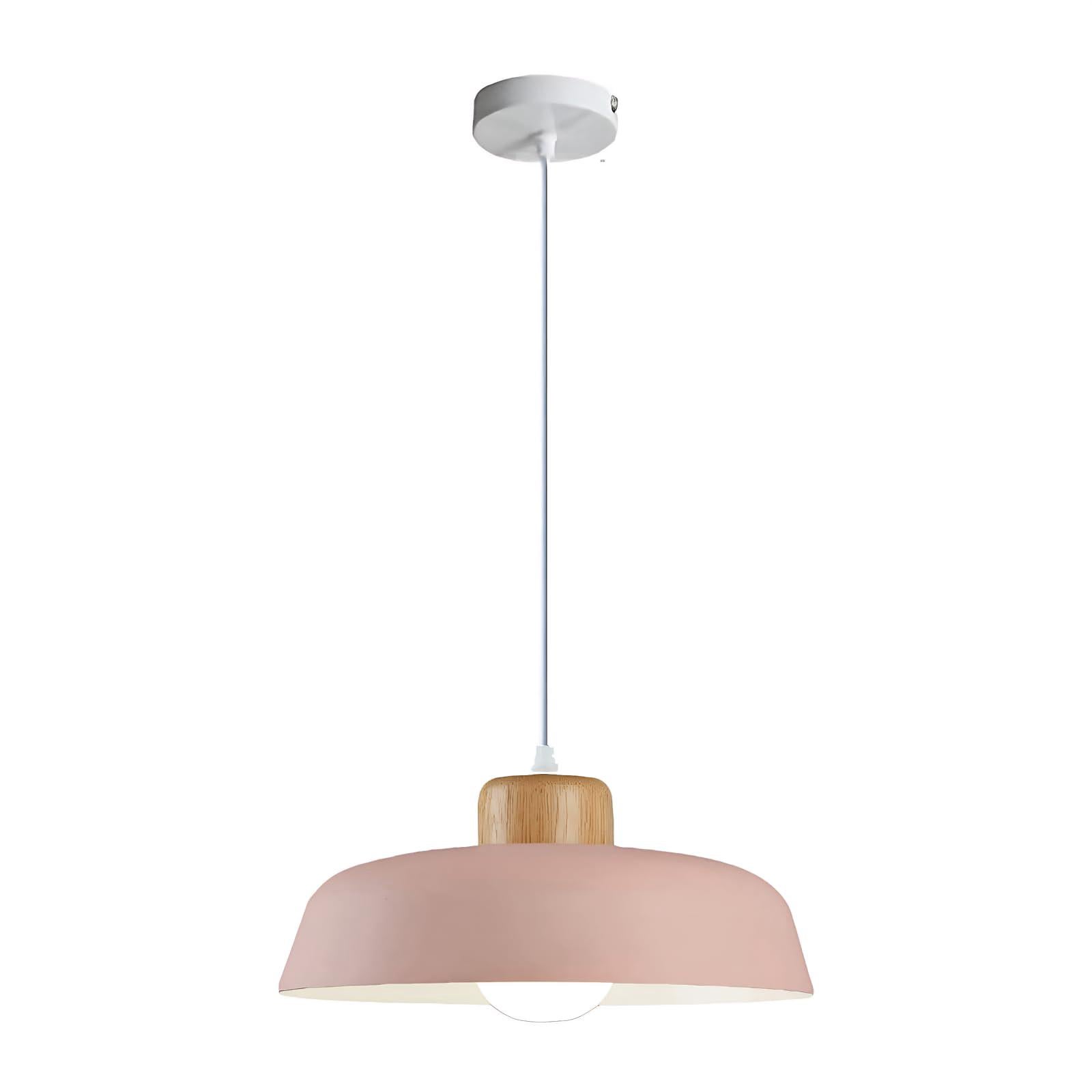 Okrągła metalowa lampa wisząca o średnicy 300 mm w kolorze makaronikowym, nowoczesne, proste wykończenie z drewna, lampa sufitowa E27 Loft Bar, żyrand