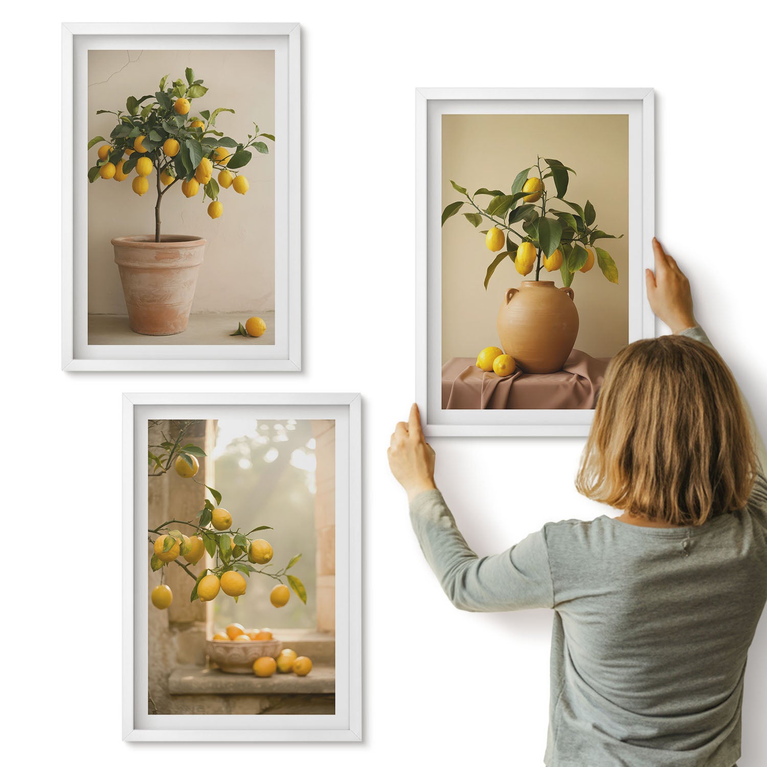 Galeria ścienna 3-częściowy komplet obrazów w białych ramach - Cytrynowe drzewka w donicach i na oknie - ArtPrintCave