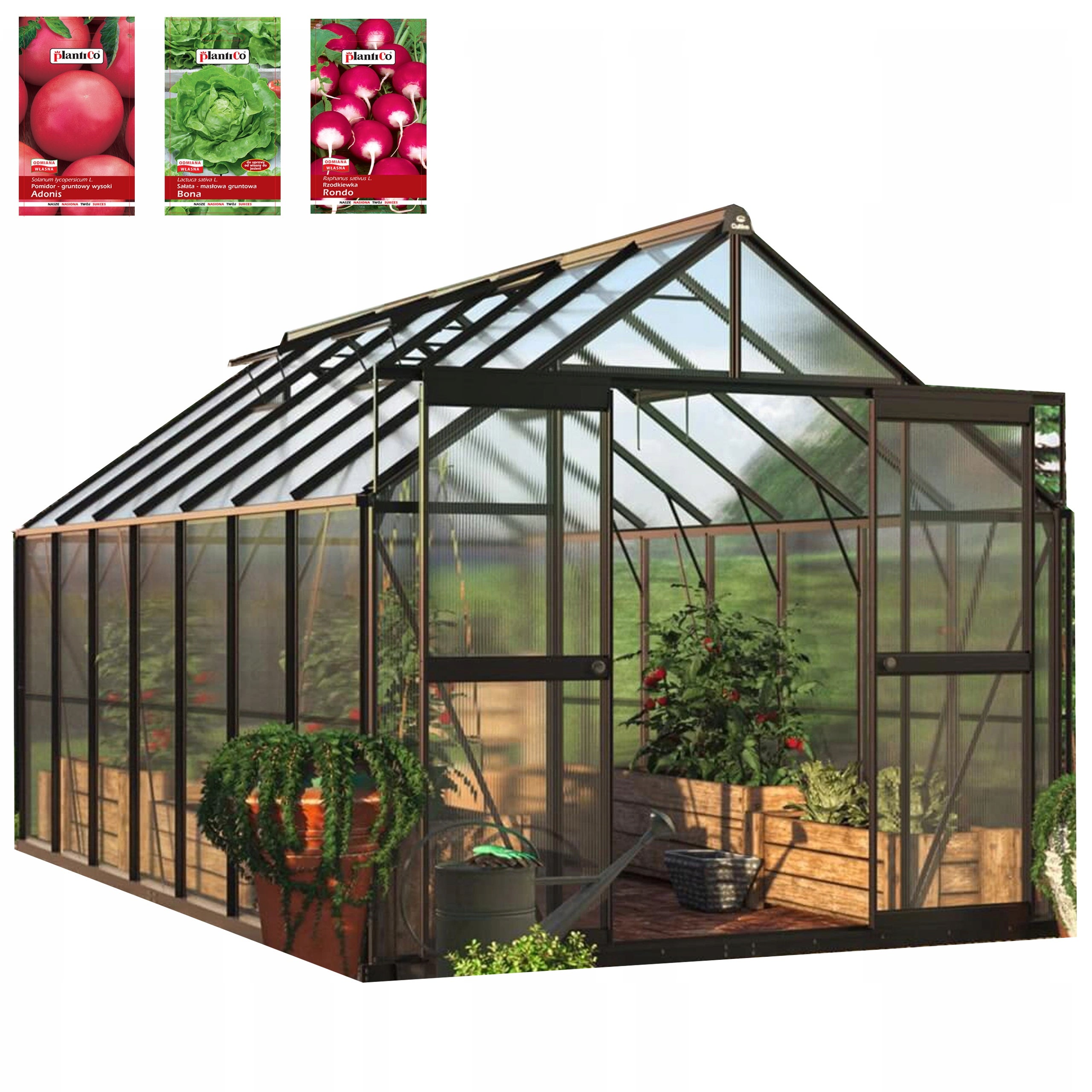 Szklarnia z Poliwęglanu Ogrodowa 3x4 Wsuwana Mocna 429x244cm 4x3 Czarna Cultivo 1 szt