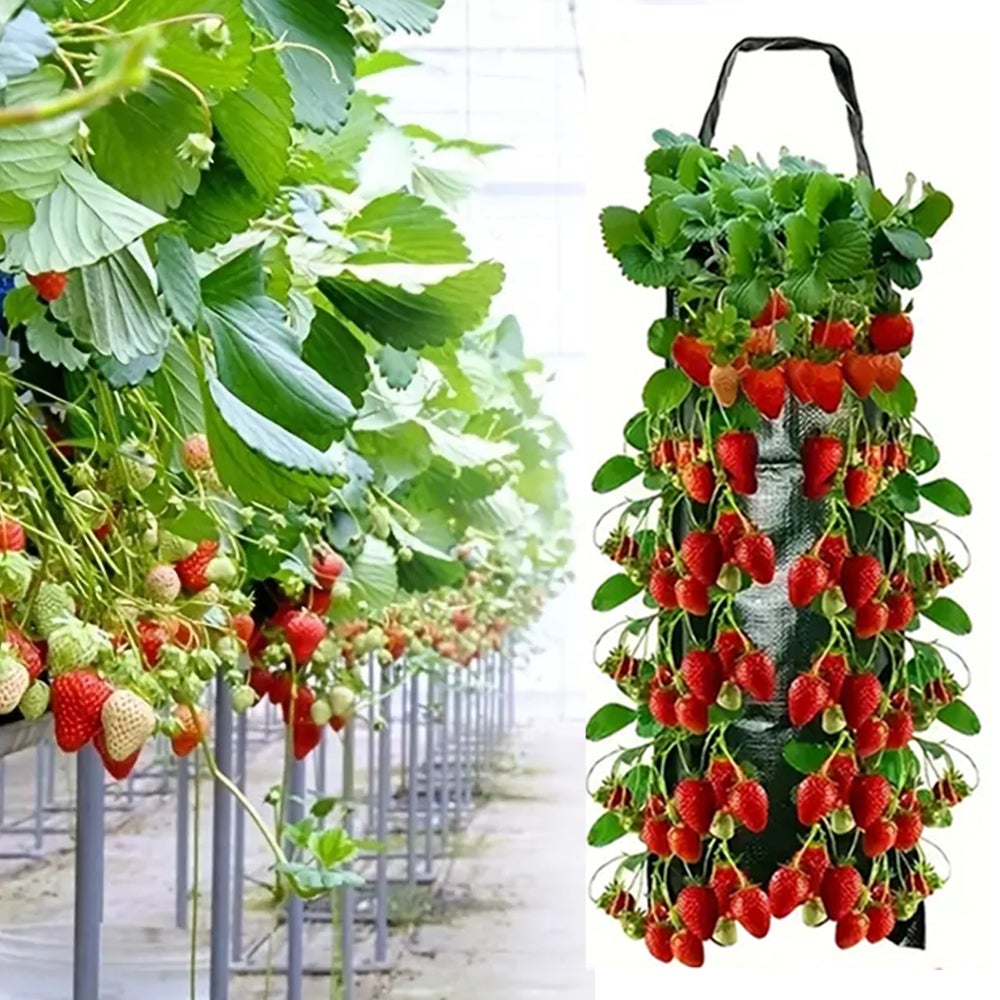 1 wisząca torba do uprawy, 8 otworów, rośnie pyszne truskawki, Sac de plantation tridimensionnel vertical
