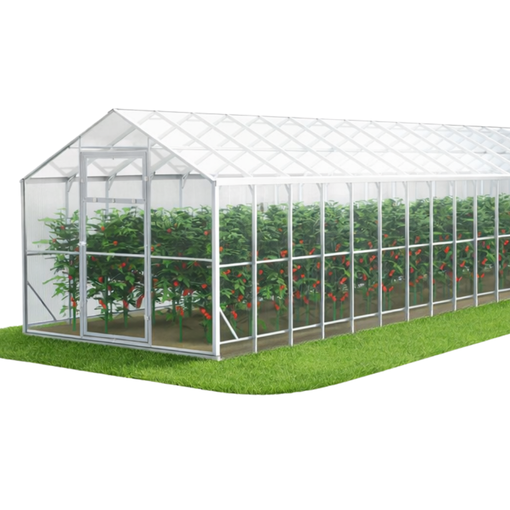 Szklarnia z poliwęglanu DOMEK 2,5x12 m profile 40x20 poliwęglan 4mm - Szklarnia ogrodowa (30 m²)