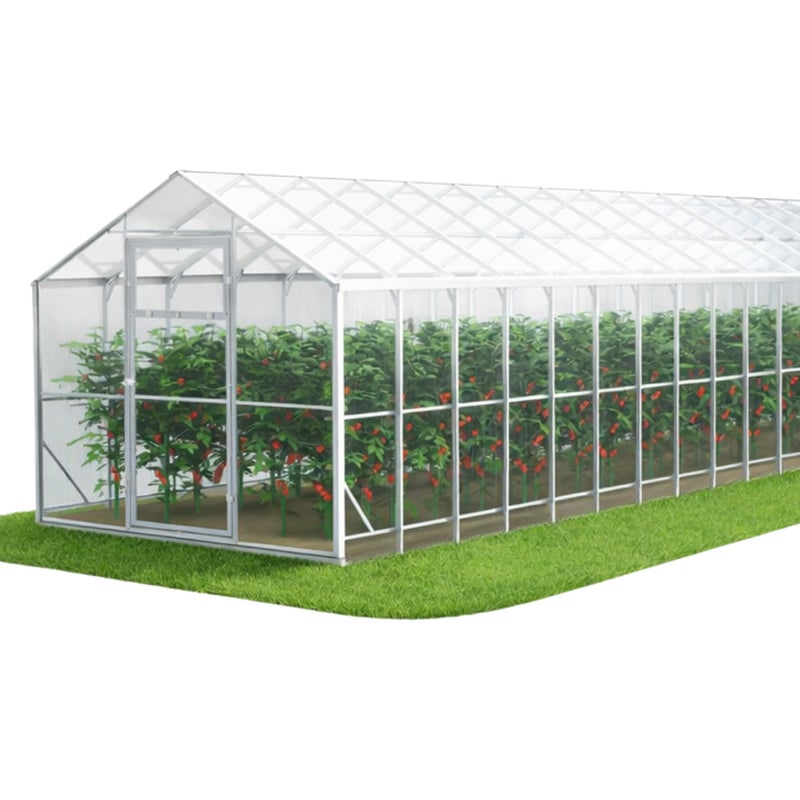 Szklarnia z poliwęglanu DOMEK 2,5x12 m profile 40x20 poliwęglan 4mm - Szklarnia ogrodowa (30 m²)