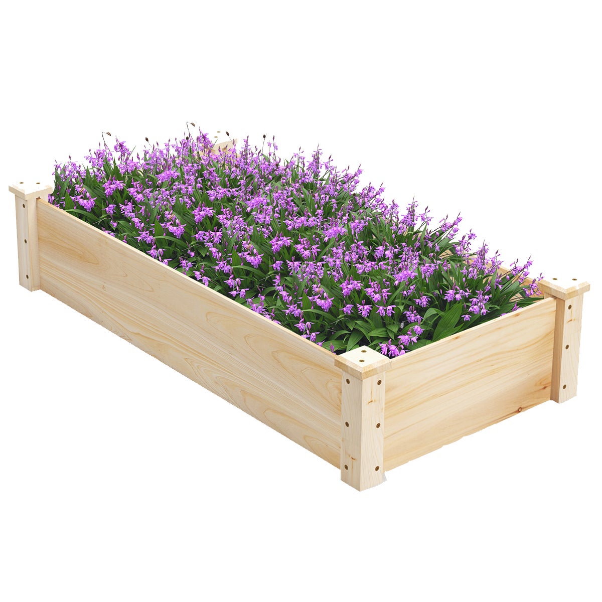 Podwyższona skrzynka ogrodowa z drewna jodłowego z otwartą podstawą 120 x 61 x 25,5 cm, łatwa w montażu skrzynka ogrodowa, na patio, naturalna