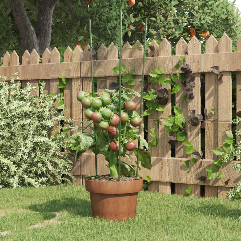 Podpórki dla roślin, z 3 obręczami, 5 szt, zielone, 60 cm, stal vidaXL