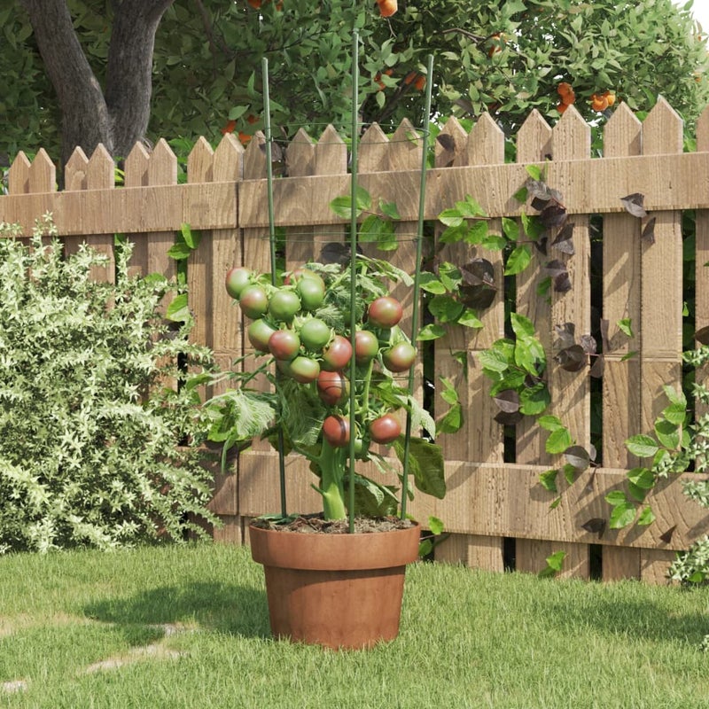 Podpórki dla roślin, z 3 obręczami, 5 szt, zielone, 60 cm, stal vidaXL