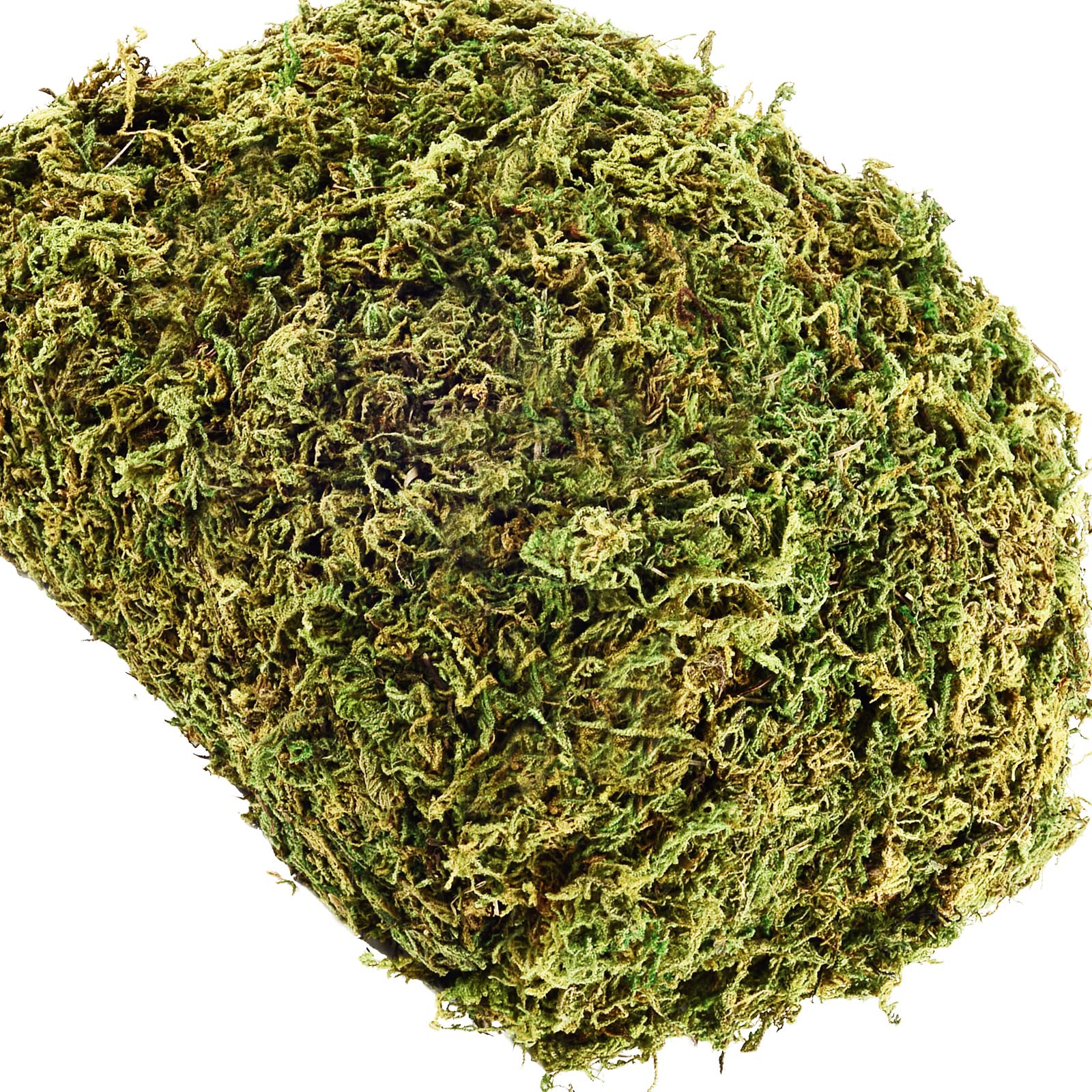 Sztuczny mech do mikrokrajobrazów, ozdoby dekoracyjne, suchy mech, roślina doniczkowa, ozdobna zieleń 10.2 Oz